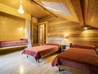 Chalet for 9 people 300m from the Petit-Chatel chairlift - Chatel Reservation Hotels in Châtel
