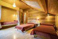 Chalet for 9 people 300m from the Petit-Chatel chairlift - Chatel Reservation