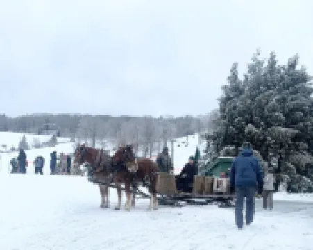 Cozy Quechee Cabin Near Woodstock and Skiing w/Woodstove and All the Amenities