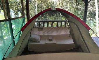 Rio Agujitas Eco Farm Hostel and Tours