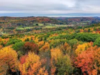 Cozy/Chic Cabin (ISOLATED RETREAT Binghamton NY Hotels in Chenango