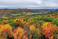 Cozy/Chic Cabin (ISOLATED RETREAT Binghamton NY Hotels in Chenango
