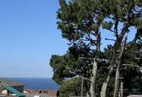 Sparkling Clean Newly Built Luxury Ocean View 5 BR/3 BA Near SF/SFO+Free Parking