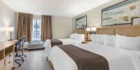 Extended Stay America Suites - Washington, DC - Alexandria - Eisenhower Ave - Estudio Con 2 Camas Queen-no Fumadores