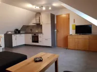 Vacation Sun Summer Winter