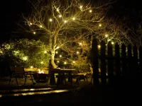 Lodge365