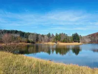 Fully restored cabin, 150 years old, nestled on Lookout Creek Farms