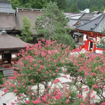 Koyasan Shukubo Fugenin