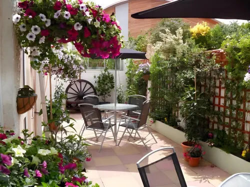 Torbay Guesthouse - bar