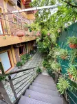 Green Space Homestay Hôtels à : Ninh Thắng