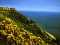 country holiday home - Serrungarina