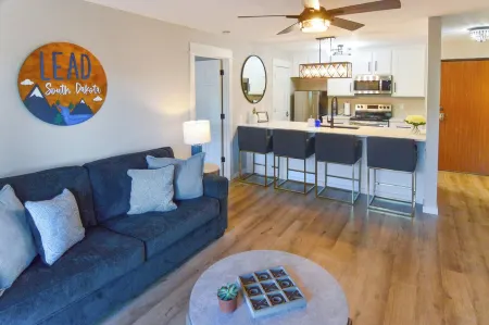 Black Hills Bliss: Fully Remodeled Modern Condo