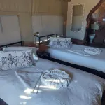 Torgos Lodge - Хоумстей
