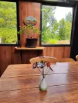 Zeehan Bush Camp Hotels in Zeehan
