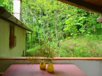 Peaceful Retreat with Shared Pool - Park Yeri
