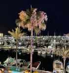 2 Bed Flat-Sleeps 4-Pets-Parking-Marina Duquesa - Wifi