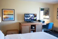Hampton Inn Big Rapids Hotels in Mecosta County