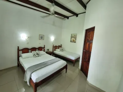 Wide Mouth Frog Quepos Hoteles en 