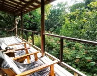 Treetop Jungle Like Escape in San Ignacio Your Belize Oasis Awaits