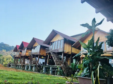 Phong Nha Mountain House Отели в г. Son Trach