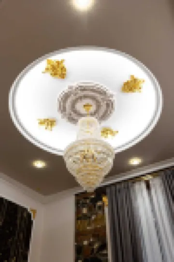 퀸 카틀레아 스위트