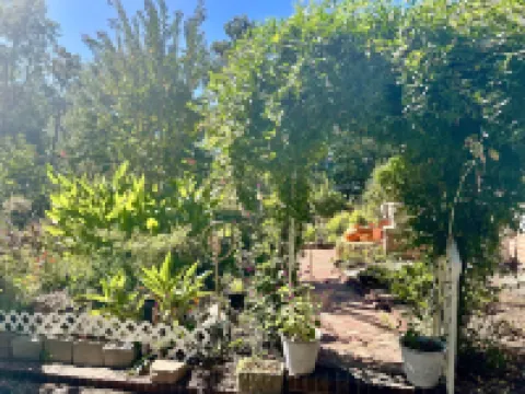 Greenwood Bed & Breakfast Hotels in Gilmer