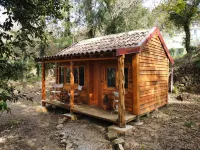 Associação Quinta Das Relvas Hotels in Palmaz