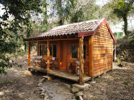 Associação Quinta Das Relvas