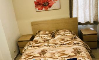 Renovated Apartment in Antwerp City Center