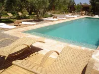 Les Jardins de Skoura - piscina