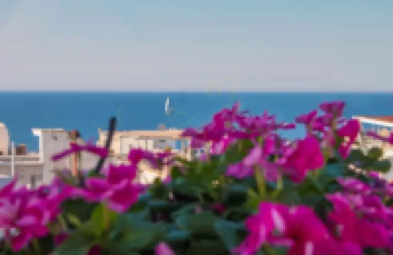 TD Casa Reina in the Historic Center with Terrace