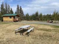 Cute & Cozy Cabin @ Moose Tracks Lodging