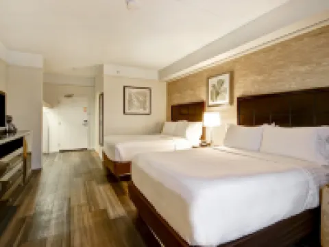 Holiday Inn & Suites Windsor (Ambassador Bridge) by IHG Hoteles en Windsor