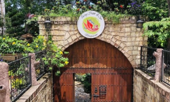 4. 마얀 힐스 리조..