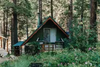 Riverfront! Pet-Friendly A-Frame Cabin - 25min to Sierra @ Tahoe