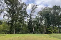 Charming new 3-bedroom house in Raleigh w/weekly 15% & monthly 30% discounts