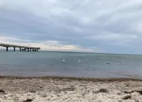 Ferienwohnung，波羅的海浴場雷裡克 - 沙灘