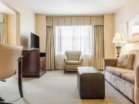 Hampton Inn & Suites Birmingham-Downtown-Tutwiler Отели рядом с достопримечательностью «Научный Центр МакУэйн»