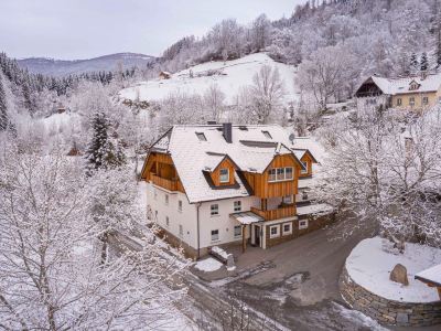 Holiday Apartment on Kreischberg
