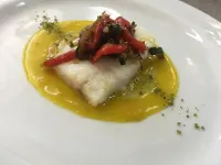 Di Rocco