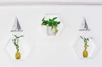 Apartamentos Turisticos Altamar