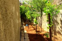 Shurooq Shams Hotel & Tours by Sunrise Các khách sạn ở 