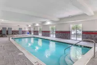 Comfort Suites at Virginia Center Commons Hotels in Glen Allen