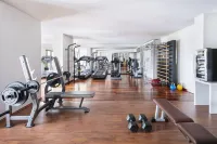 The Danai - Gym
