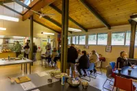 Christmas Creek Café & Cabins Hotels in Lamington