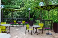 SpringHill Suites Asheville Hotels near River Arts District
