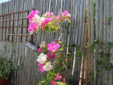 BlueSky Arniston Guest House Hotels in Cape Agulhas Municipality