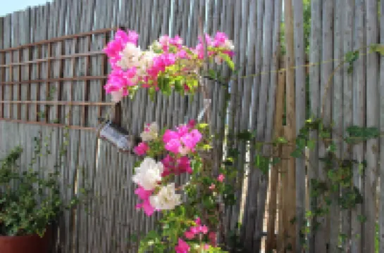 BlueSky Arniston Guest House