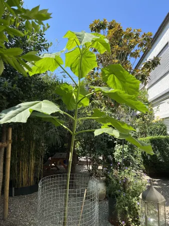 Carli's Base Camp Отели рядом с достопримечательностью «Бодензе»