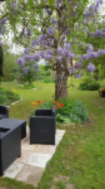 Chambres du Jardin Fleuri Hoteles en 